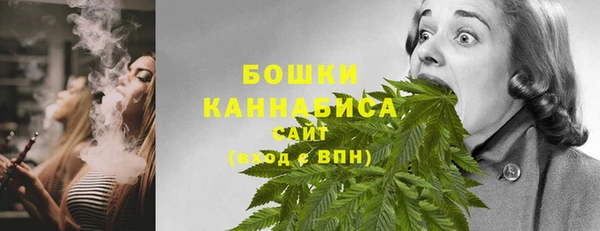 ПСИЛОЦИБИНОВЫЕ ГРИБЫ Баксан