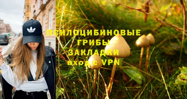 ПСИЛОЦИБИНОВЫЕ ГРИБЫ Баксан