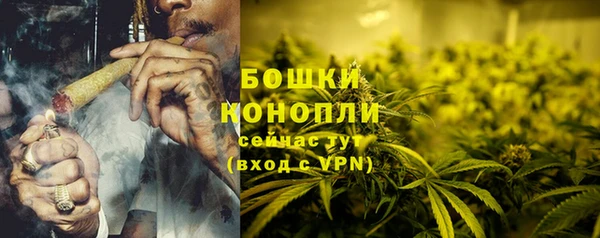 ПСИЛОЦИБИНОВЫЕ ГРИБЫ Баксан