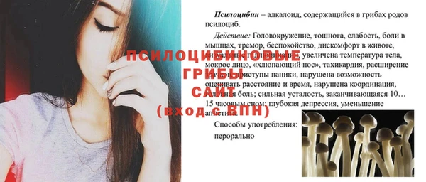 ПСИЛОЦИБИНОВЫЕ ГРИБЫ Баксан
