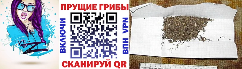 Галлюциногенные грибы ЛСД  купить наркотики цена  Лосино-Петровский 
